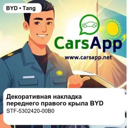 file_17964.jpg