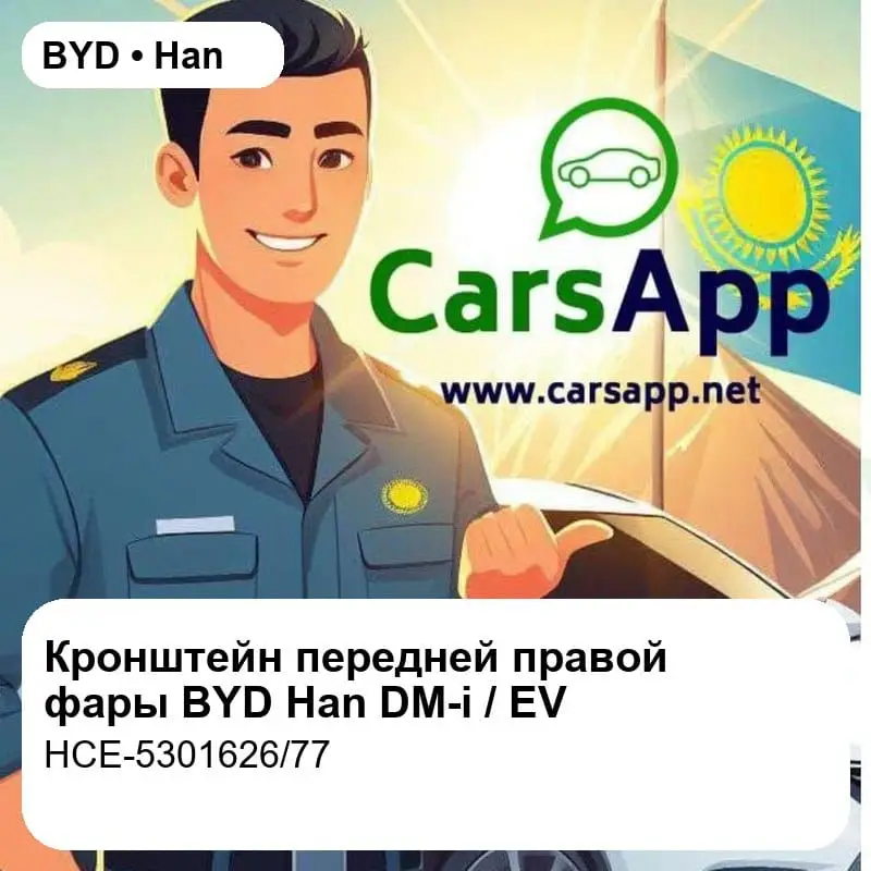 file_18295.jpg