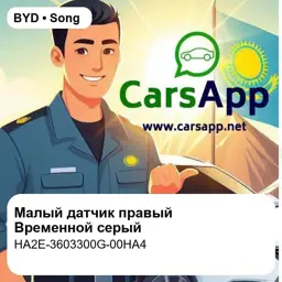 file_18382.jpg