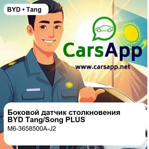 file_18498.jpg