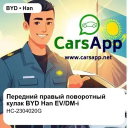 file_18597.jpg