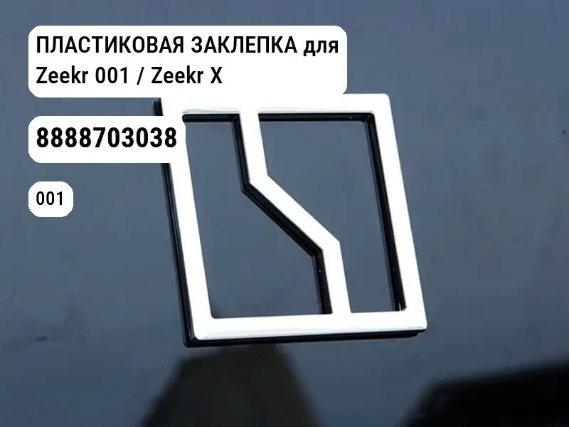 file_9981.jpg