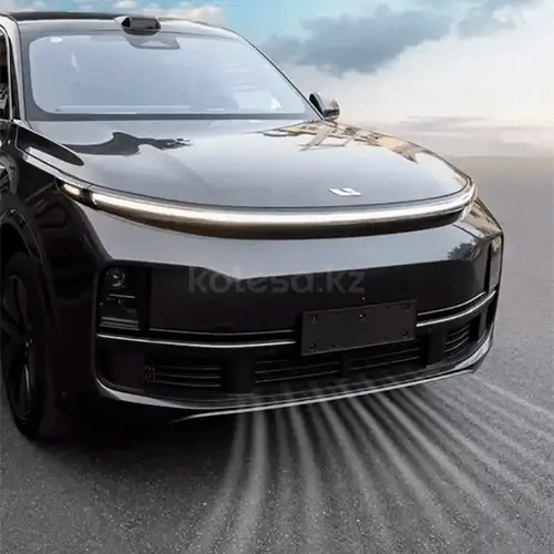 Защитная сетка радиатора в передний бампер Lixiang L8, L9, из 3 частей